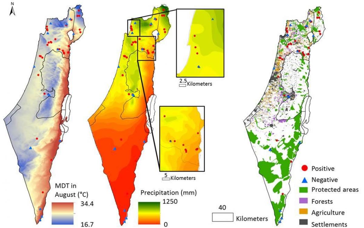 이스라엘의 지도는 기후